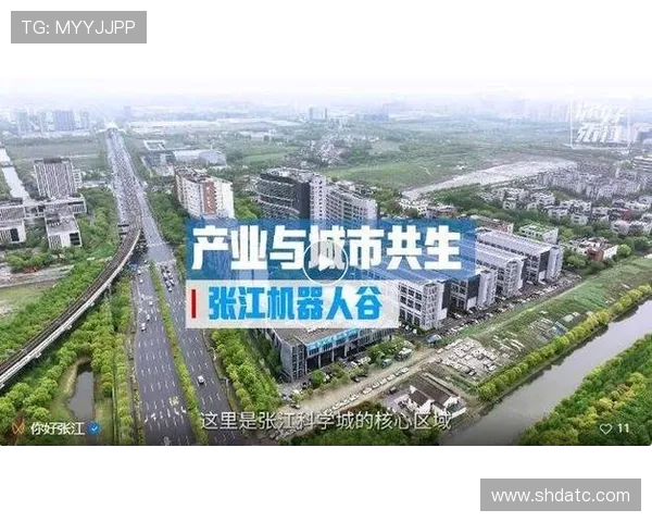 探索以电竞俱乐部为核心的城市青年文化与产业生态构建路径研究分析 探索以电竞俱乐部为核心的城市青年文化与产业生态构建路径研究分析
